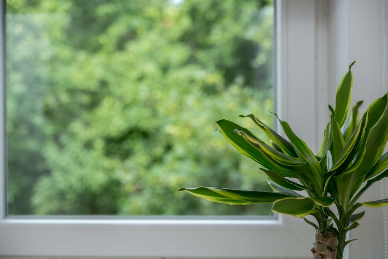 Apartman Lucia Rijeka Ngoại thất bức ảnh